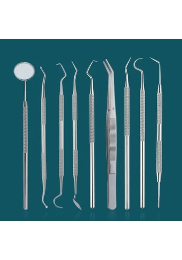 Willowhaven 9 Parçalı Profesyonel Diş Temizleme Seti Paslanmaz Çelik Evcil Ve Yetişkin Hayvanlar İçin