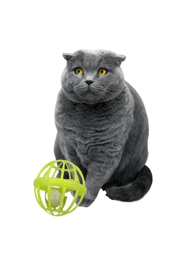 BUFFER® Tüylü Zilli Oyuncak ve Tekerlekli Kafes Kedi Oyuncağı
