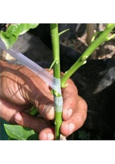 Silikonlu Şeffaf Aşı Bandı Ağaç Dal Fidan Aşılama Bandı