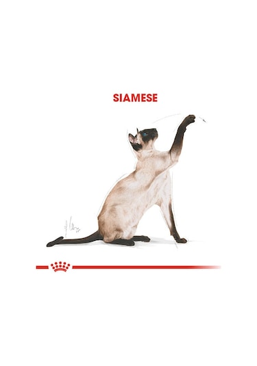 Royal Canin Siamese 38 Yetişkin Kedi Maması 2 KG