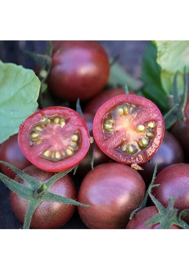 Nadir Black Cherry Siyah Domates Tohumu 15 Tohum