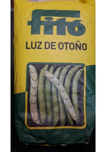 Luz De Otono Ithal Bakla Tohumu 1 Kg