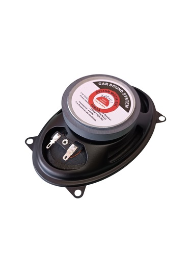 Renault 9 Oval Oto Hoparlör 4x6 9,6x15,3 Cm 4 Ohm 100 Watt