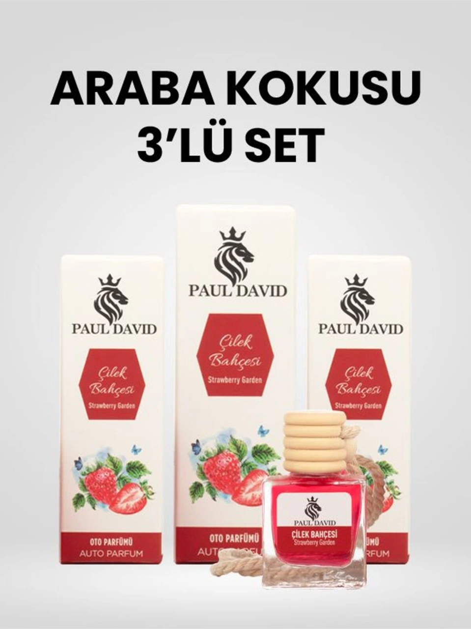 Dekoratif Araç Oto Kokusu 3 Lü Set Çilek Bahçesi