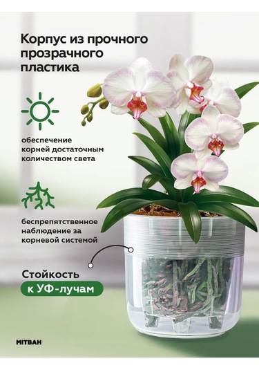 Mıtbah Orkide Saksısı Şeffaf Saksı 6 L 412404371