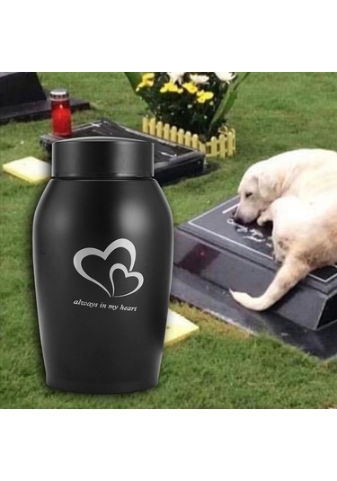 Homyl Köpekler Kediler Küller Gevşek Anıt Evcil Siyah Altın