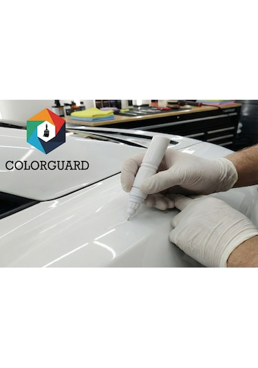 Colorguard Bmw 300 İğneli Ve Fırçalı Şişe Rötuş Boyası