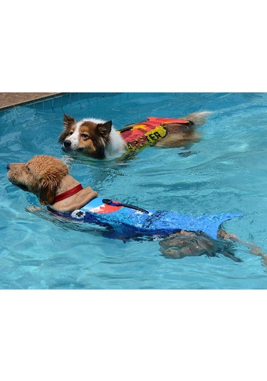 Suntek Pet Köpek Can Yeleği Yüzme Yelek Mayo Kostüm Kaplumbağa-l