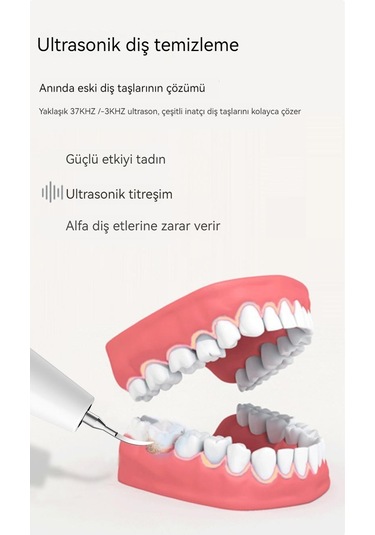 Eastmeeetwest--elektrikli Taşınabilir Diş Temizleme Cihazı Diş Taşı Temizleyici Paslanmaz Çelik Diş Temizleme Cihazı Güzellik Diş Cihazı