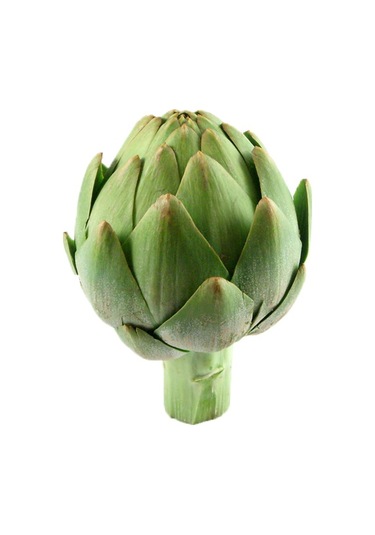 20+ Adet Yeşil Küre Enginar Tohumu