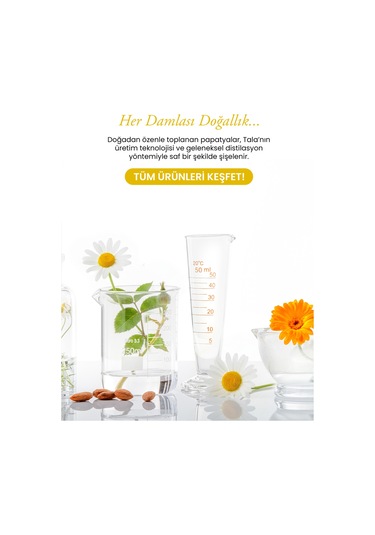 Tala Papatya Suyu %100 Saf Ve Doğal Rahatlatıcı Ve Nemlendirici Tonik Papatya Hidrosolü 100 ML