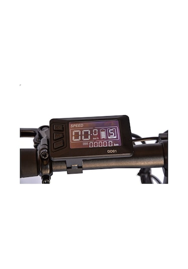 Roxform Ege Şehir Elektrikli Bisiklet - 250w Motor, 20 İnç Jant Siyah