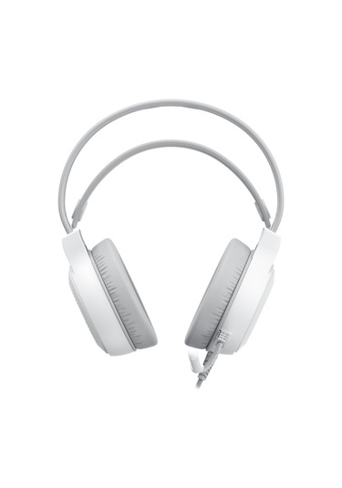 Havit Gamenote H2040D Rgb Gaming Mikrofonlu Oyuncu Kulaklığı