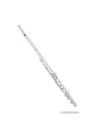 Sılver Sfl-290Es  Gümüş Kaplama C Flüt