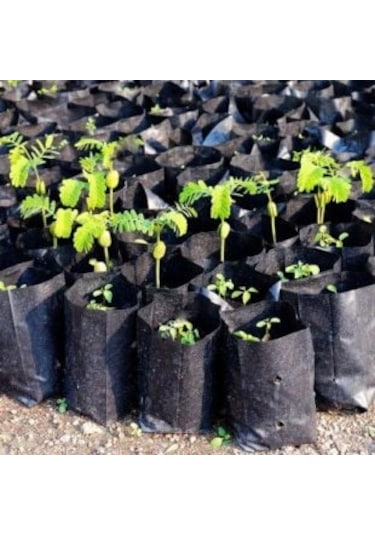 Fidan Poşeti 25 adet 25x50 cm Fidan Torbası Fide Poşeti Fide Torbası Fide Fidan Yetiştirme Poşet