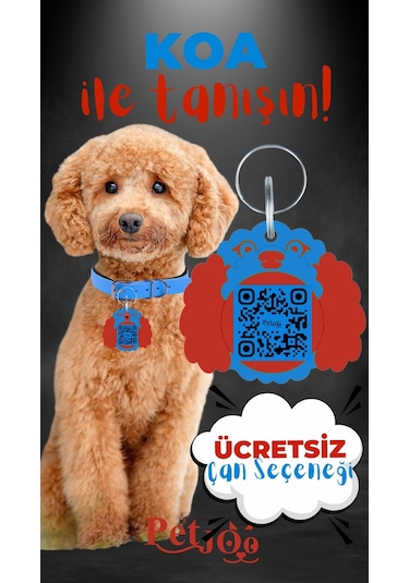 Petjoo 14.Koa Kırmızı-Mavi Qr'lı Köpek Künyesi