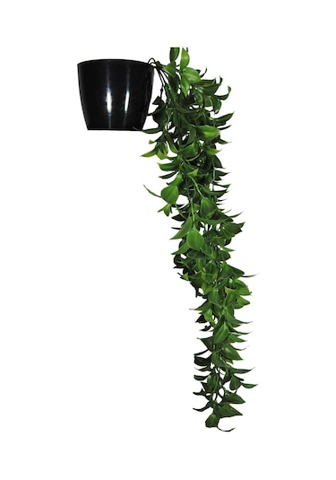 Yapay Çiçek Siyah Saksılı Sarkan Bitki FEJKA Yeşil