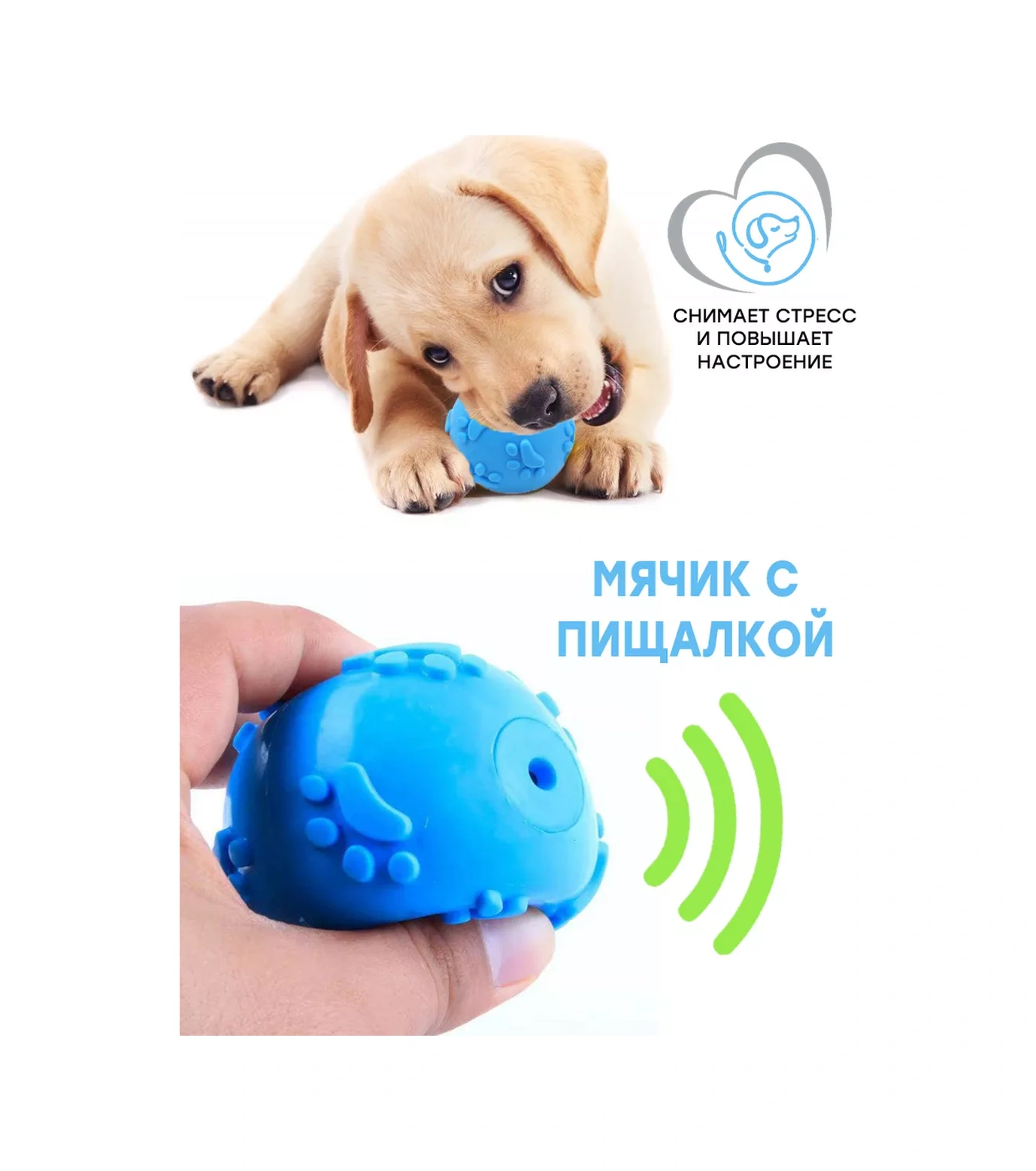 Fan Pets Küçük Ve Orta Irk Köpekler Ve Yavrular İçin Oyuncak Seti 76764519