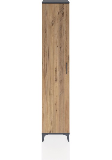 Hyperion Dolap 3 Raflı Tek Kapaklı 44x44x221 Antrasit-çam Antrasit