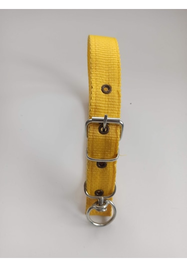 Kozaklı Orta Irk Köpek Tasması Sarı 60 x 3 CM