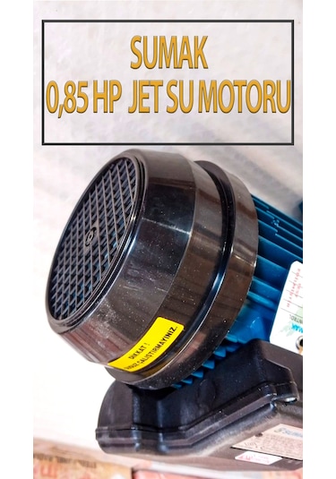 0,85 Hp 0,65 Kw Su Motoru 220 Volt 4,6 Amper