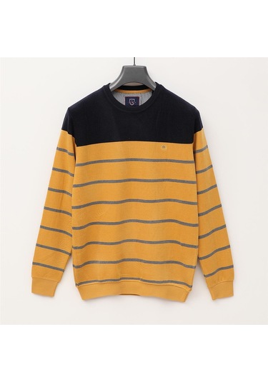 Dio Rise Erkek Uzun Kol İnce Sweatshirt - Czt-109 - Safran SAFRAN