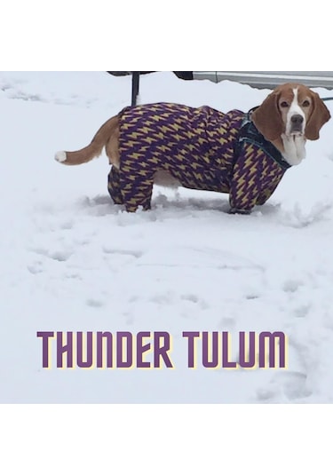 Alphadog Thunder Polarlı Küçük Irk Köpek Yağmurluk Tulumu
