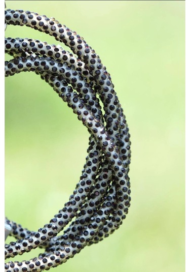 Taşlı Şarj Kablosu A Kalite Aplle Usb Type C