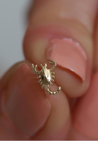 14 Ayar Altın Akrep Tragus Piercing Sarı
