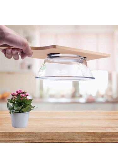 Hobibahçem Yeni Nesil Nanotech Güçlü Yapıştırıcı Cep Telefonu Tutucu Pad Siyah