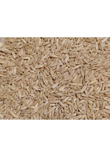 Yulaf Tohumu Kuş Yemi 500 Gr