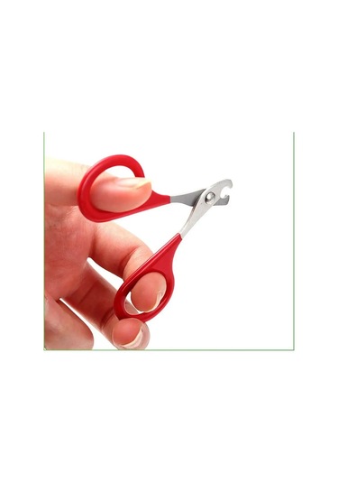 Pet Kedi Ve Küçük Köpekler İçin Tırnak Kıracağı 129398739