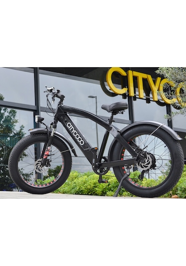 Citycoco Fatbike 250W