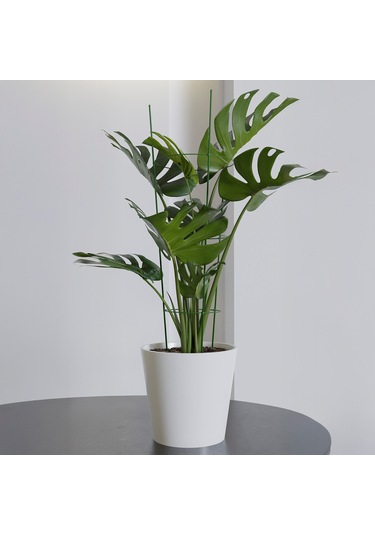 Garden With Ware Bitki Destek Kafesi - 60 Cm