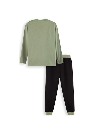 Denokids Kaplan Erkek Çocuk T-shirt Pantolon Takım Renkli
