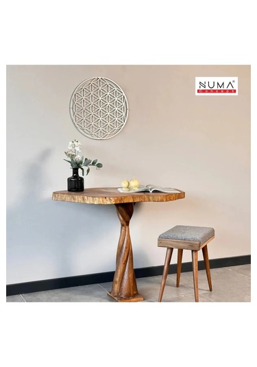 Yaşam Çiçeği Tekli Mdf Üzeri Gümüş Pleksi Duvar Dekorasyon