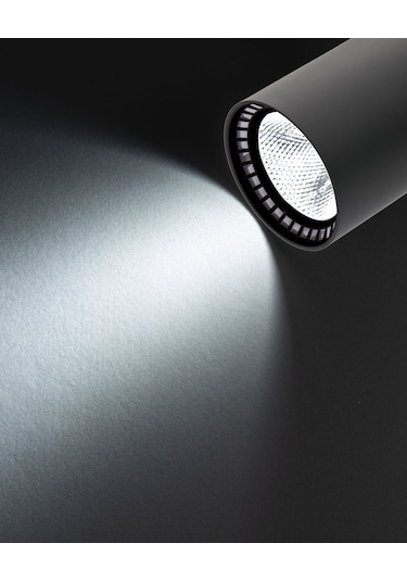 Noas 30W Paris Siyah Kasa Ray Spot Beyaz Işık YL29-3101