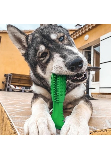 Buffer 12 x 9 x 4 CM Büyük Boy Diş Temizleyici Köpek Oyuncağı