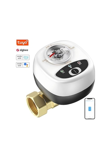 Pazly Ewelink Zigbee Su Vanası Otomatik Anahtar Akıllı Küresel Vana Ip65 Kablosuz Uygulama Uzaktan Kontrol Zigbee