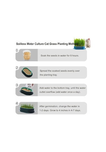 Mufunye Kedi Çimi Ekici Hidroponik Yetiştirme Kiti İç Mekan İçin Topraksız Kedi Nanesi Buğday Çimi B