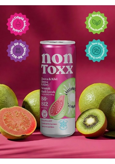 Nontoxx Guava & Kivi Aromalı, Sirkeli, Gazlı İçecek 250 Ml