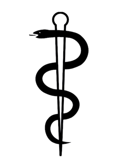 Folyo Sticker Yılan 60cm Uzunluk Siyah