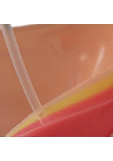 Suntek Hemşire Eğitim Malzemesi Aracı Için Yeniden