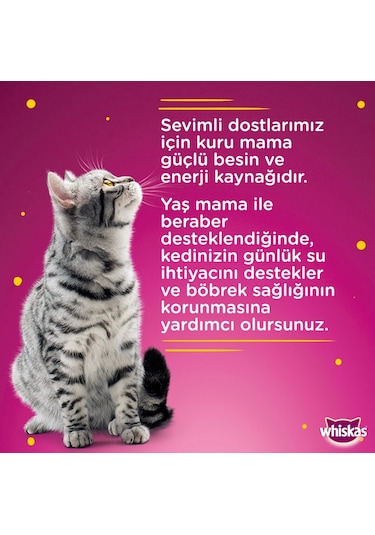 Whiskas Ton Balıklı Jöleli Konserve Yetişkin Kedi Maması 24 x 400 G