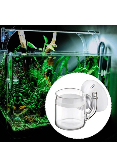 Homyl Co2 Difüzör Bitki Büyüme Aksesuarları Akvaryum Dikenli