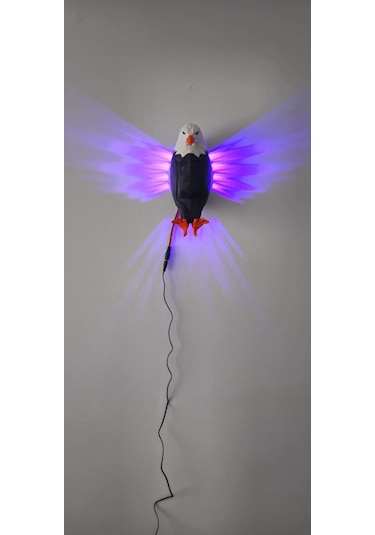 Jetjest Kartal Led Rgb Gece Lambası