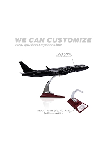Zekupp - Maket Uçak - Boeing 737-800 1/100 - SİYAH ÖZEL TASARIM Model Uçak