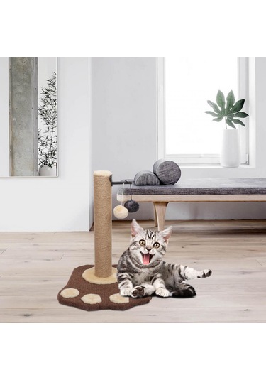 Suntek Kedi Tırmalama Sonrası Kediler Taşlama Paws Asılı Top