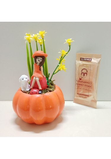 Evlilik Yıl Dönümü Hediyesi Kız Arkadaşa Doğum Günü Hediyesi Kabak Teraryum