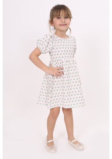 Toontoy Kız Çocuk Desenli Elbise Pembe